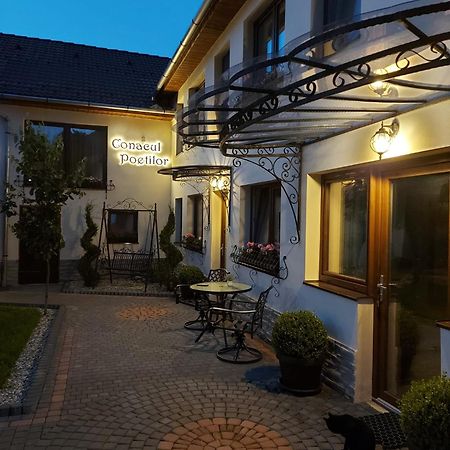 Hotel Conacul Poetilor à Gura Rîului Extérieur photo