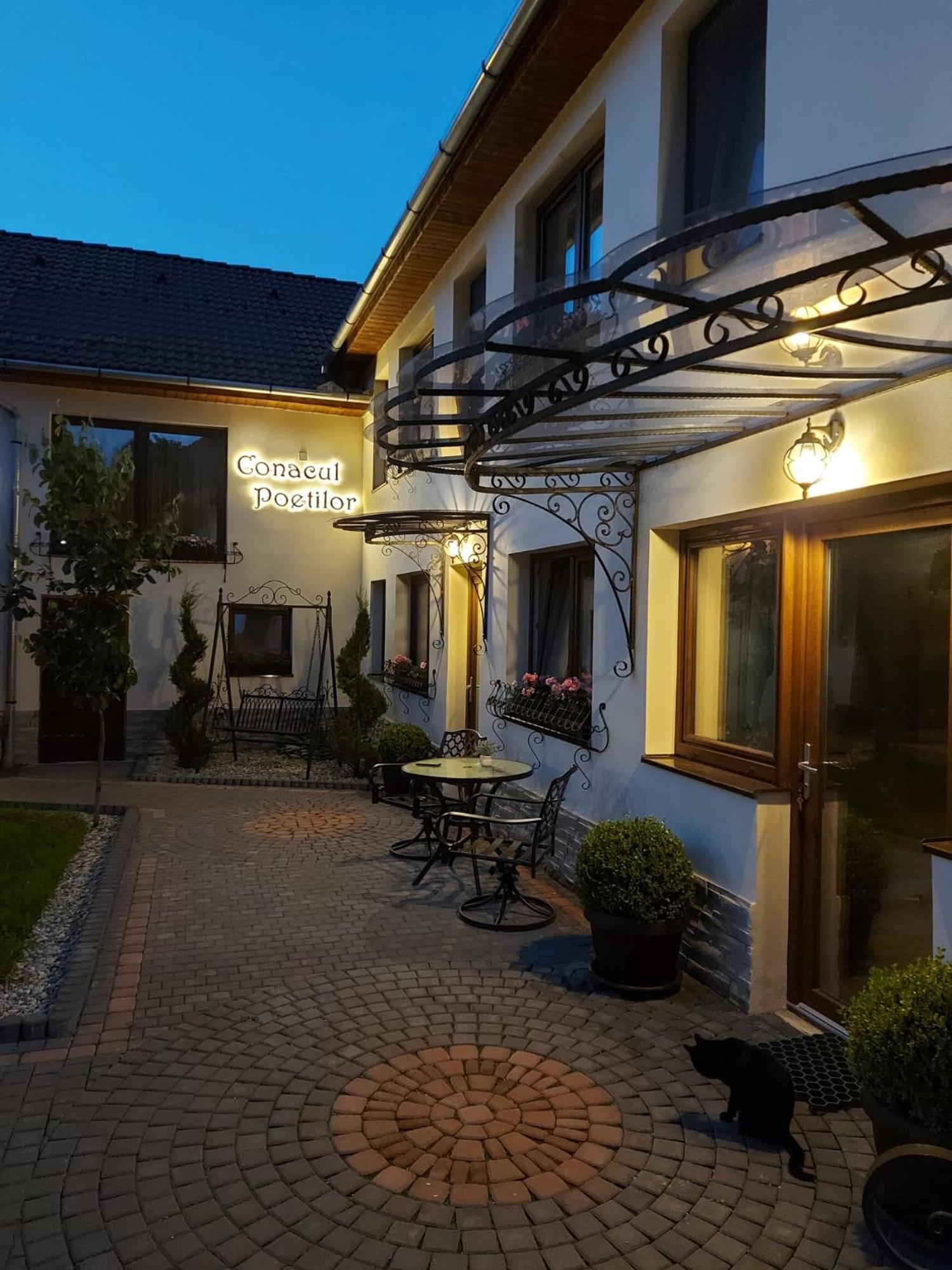 Hotel Conacul Poetilor à Gura Rîului Extérieur photo